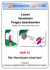 Die Hornissen sind los.pdf